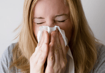 Devon NHS issues hay fever advice as heat increases pollen impact