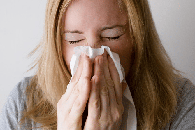 One in four people in the UK has hay fever