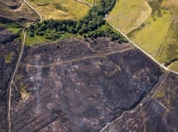Woodland Trust warns of barbecue dangers