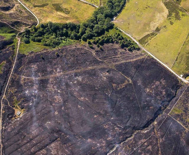 Woodland Trust warns of barbecue dangers