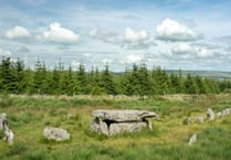 Dartmoor Park hosts summer activites for all