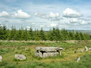 Dartmoor Park hosts summer activites for all