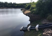 Reservoir levels fall but don’t panic... yet
