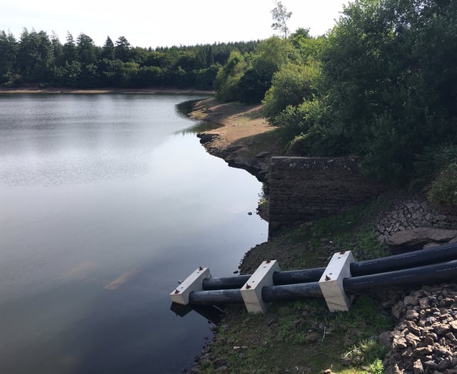 Reservoir levels fall but don’t panic... yet