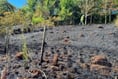 Firefighters’ warning over parched lands