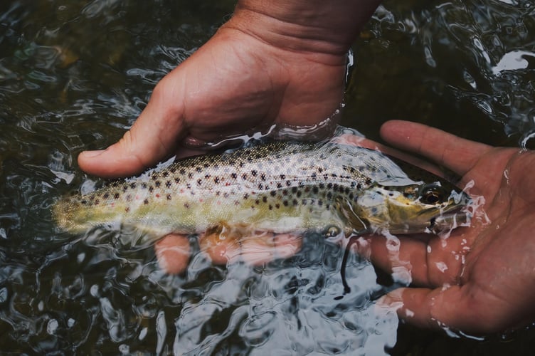 fishing