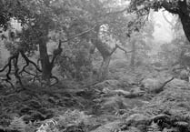 Close-up on rivers and paths of the moors