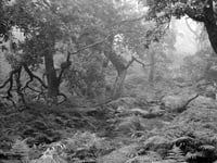 Close-up on rivers and paths of the moors