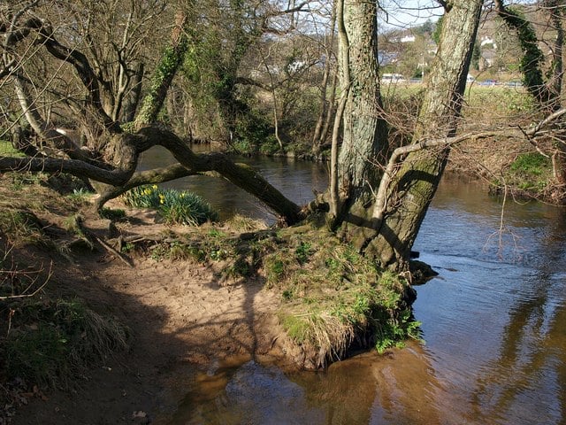 River Bovey, Mill Marsh Park