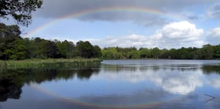 Heatwave causing fish deaths at Stover Lake
