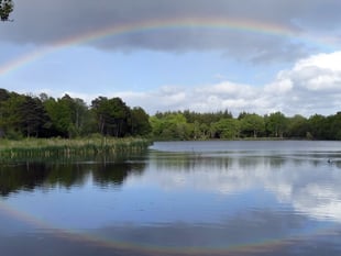 Heatwave causing fish deaths at Stover Lake