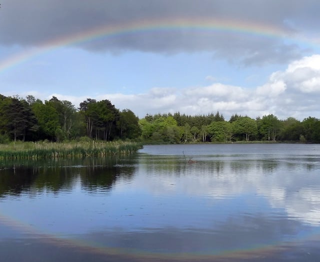 Heatwave causing fish deaths at Stover Lake