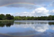 Heatwave causing fish deaths at Stover Lake