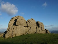 DNPA welcomes independent review of protected sites
