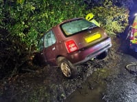 Car crashes into water filled ditch