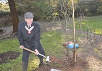 Watch as living legacy of Queen is planted in Teignmouth