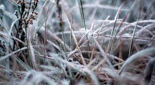 Update on Yellow Warning of snow and ice for Devon