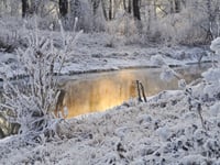 Snow and more ice on the way as Yellow Warning issued