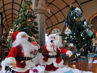 Christmas tree festival opens this weekend 