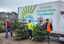 Christmas tree recycling scheme to benefit  hospice charity