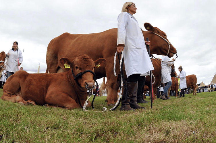 The Devon County Show proves to be as popular as ever.
