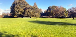 Council responds to outrage over asset disposal 