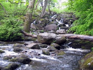 Dartmoor waterfall earns place in top UK waterfall walks list