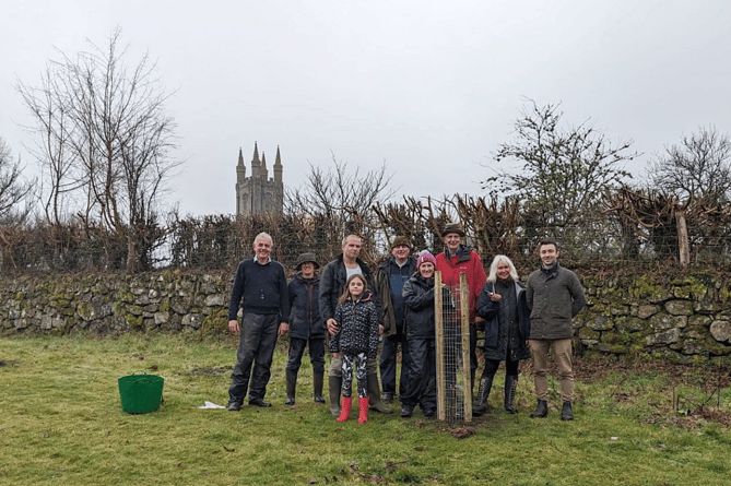 A new community orchard is planted in Widecombe-in-the-Moor