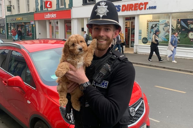Nine-week-old Buddy shook paws with Bobbies on the beat in Newton Abbot.Picture: Newton Abbot Police Station (March 2021)