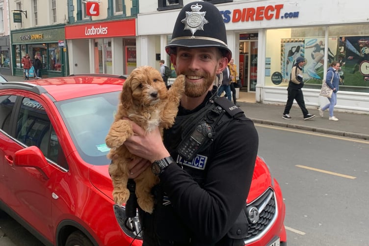 Nine-week-old Buddy shook paws with Bobbies on the beat in Newton Abbot.
Picture: Newton Abbot Police Station (March 2021)