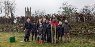 Orchard creators hoping for bumper crop