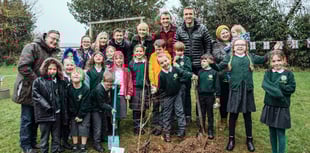 Going green at Dunsford School