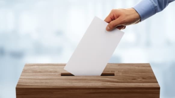 Who will get your vote in Kenn Valley Ward on Teignbridge Council? 