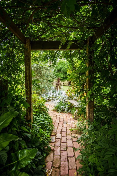 garden stock image