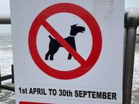 Dog lovers complain about April 1 dog ban at Teignmouth beaches