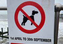 Dog lovers complain about April 1 dog ban at Teignmouth beaches