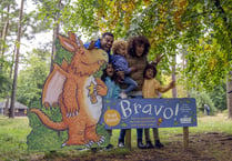 More Easter holiday fun – follow Zog on the Haldon Forest Trail