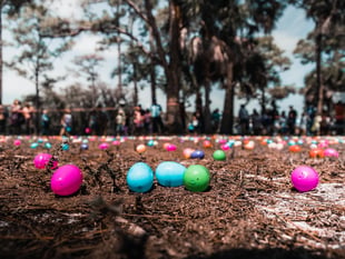 Swashbuckling Easter egg hunt at historic Devon abbey