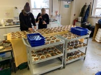 Hedgehog charity faces prickly future