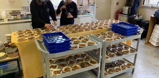 Hedgehog charity faces prickly future