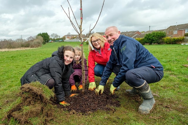 Green fund can make your community project grow