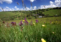 Walk offers insight into low-impact farming