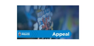 Police appeal for witnesses after teens hurt in large scale fight 
