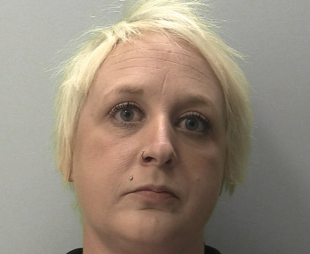 Woman jailed for starting fires 