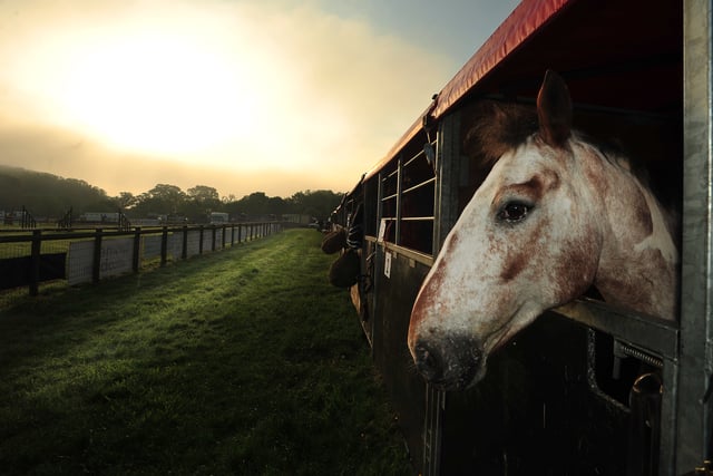 PICTURE SPECIAL: Devon County show, the first two days