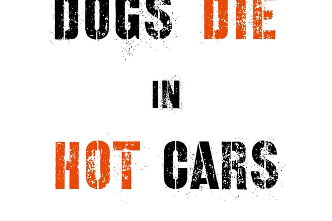 Newton Abbot police issue warning after rise in reports of dogs being left in hot cars.Picture Newton Abbot Police (22-5-23)
