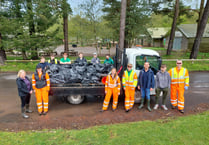 Big Mc-Clean-up at Haldon Forest