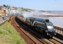Rail fans flock to south Devon 