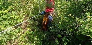 Cave rescue volunteers join hunt for missing dog