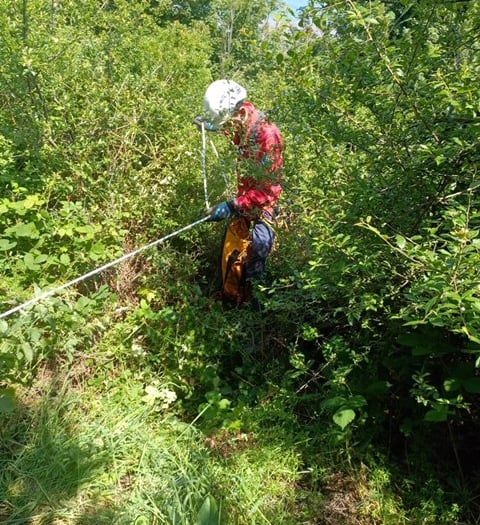 Cave rescue volunteers join hunt for missing dog